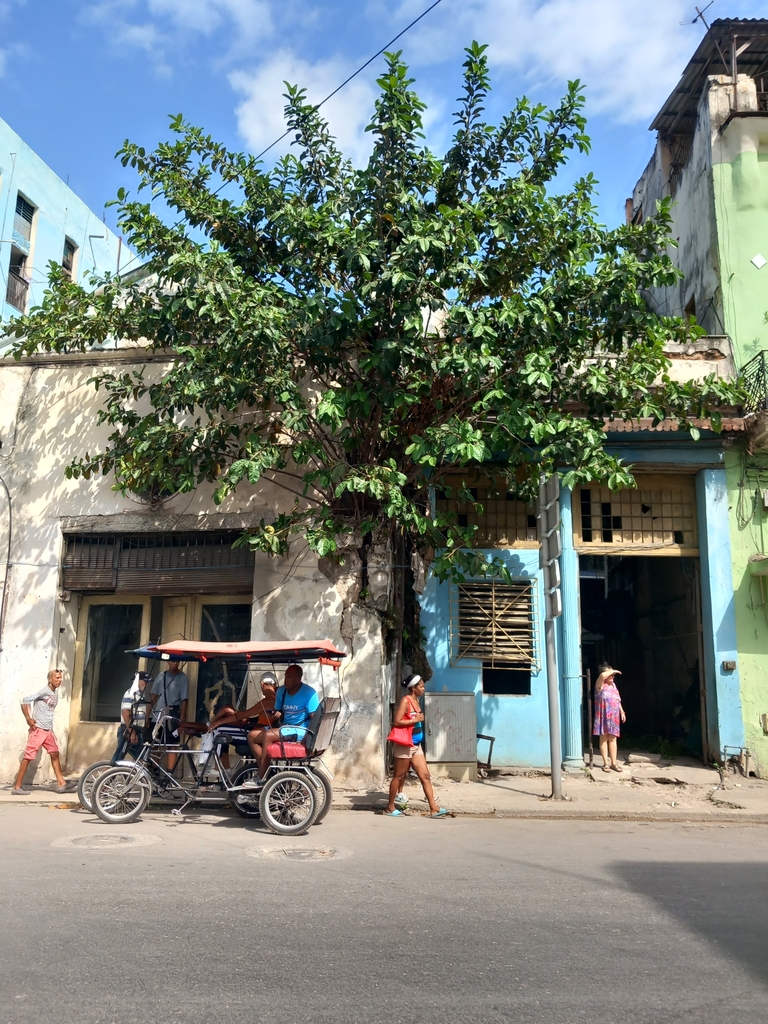 Zdjęcie do projektu