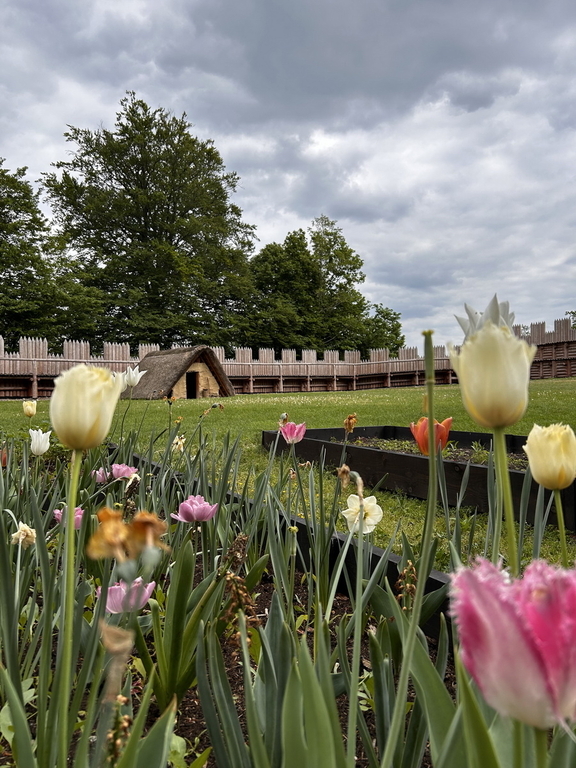 Wyjazd po pograniczach Górnego Śląska
