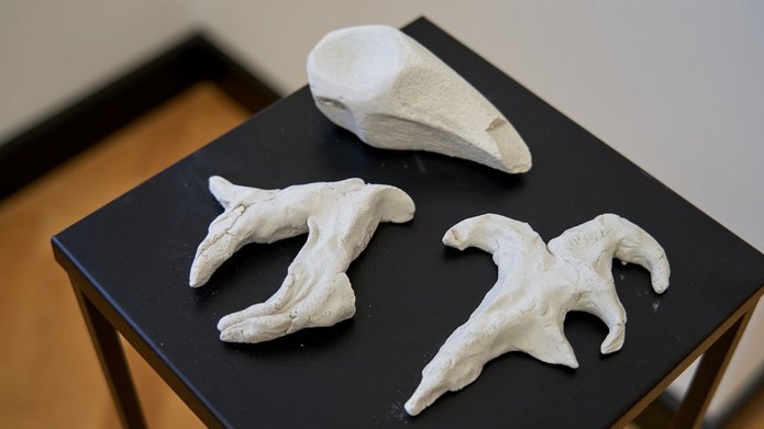 Zdjęcie z wystawy w ACD Jarek Darnowski