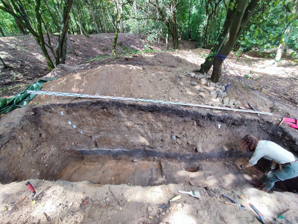 Przekrój przez wewnętrzny wał grodziska