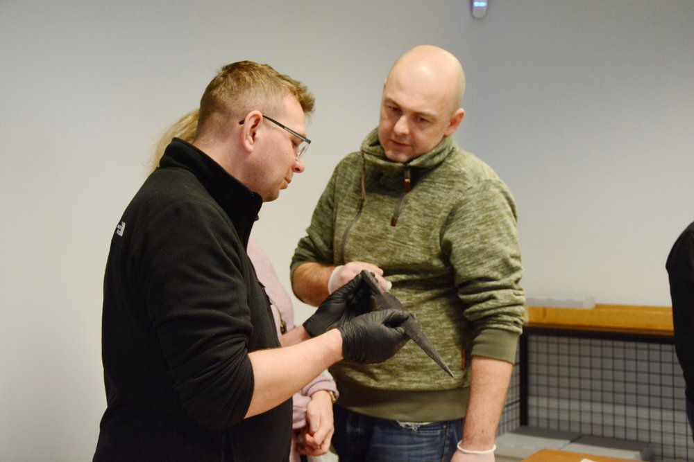 Wyjazd nad Lednicę i do Gniezna