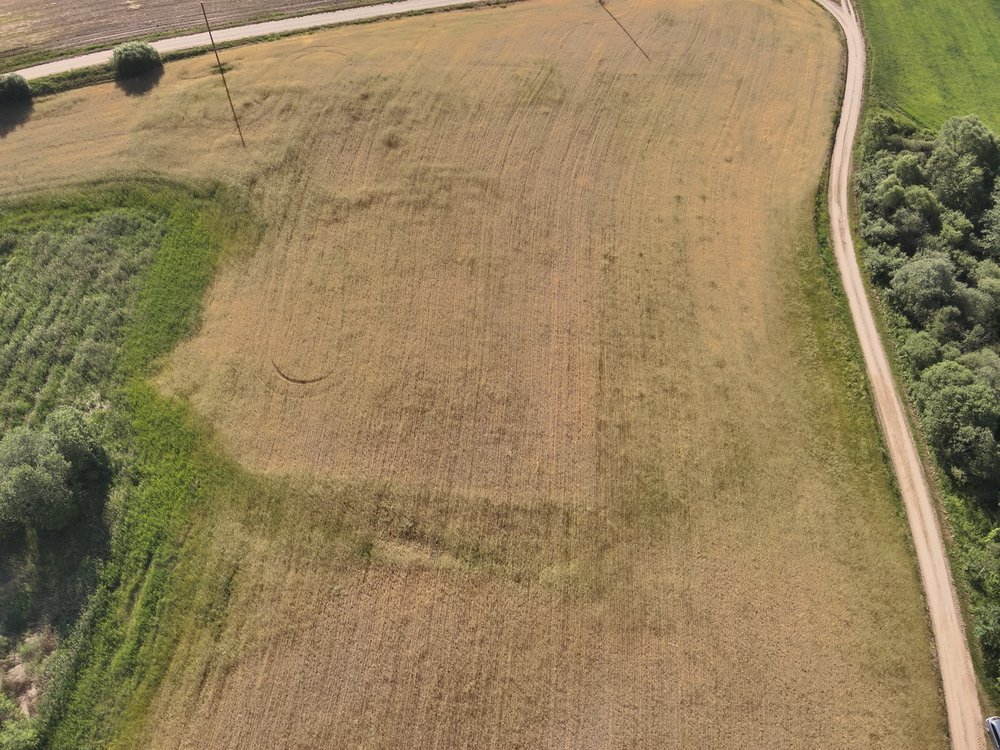 Wyróżniki wegetacyjne na zdjęciu z drona w pobliżu grodziska Indrica