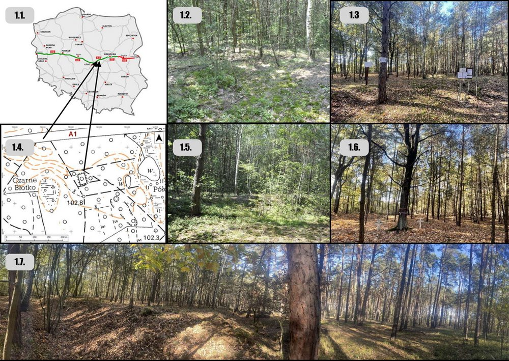 Cmentarze wojenne Wilelkiej Wojny