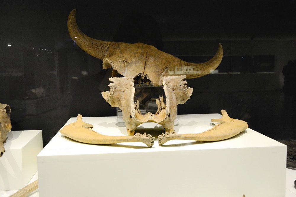 Wyjazd nad Lednicę i do Gniezna