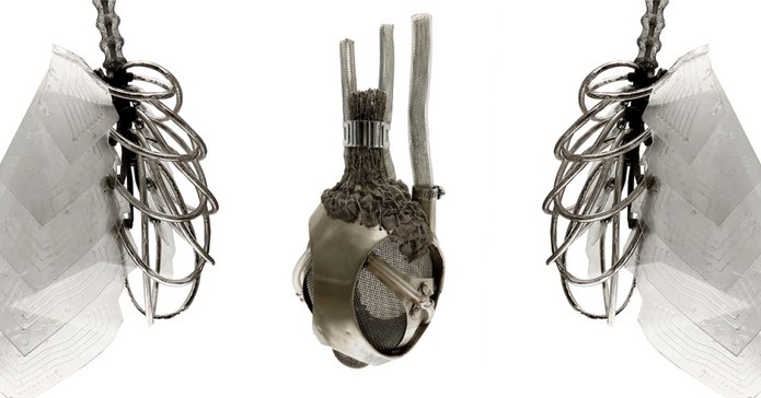 zdjęcie obiektów artystycznych: sztucznych płuc, serca, trzustki