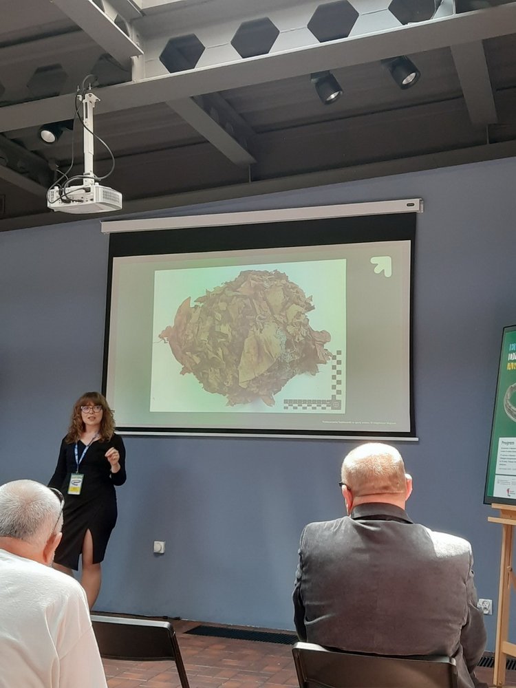 Włocławek i Biskupin