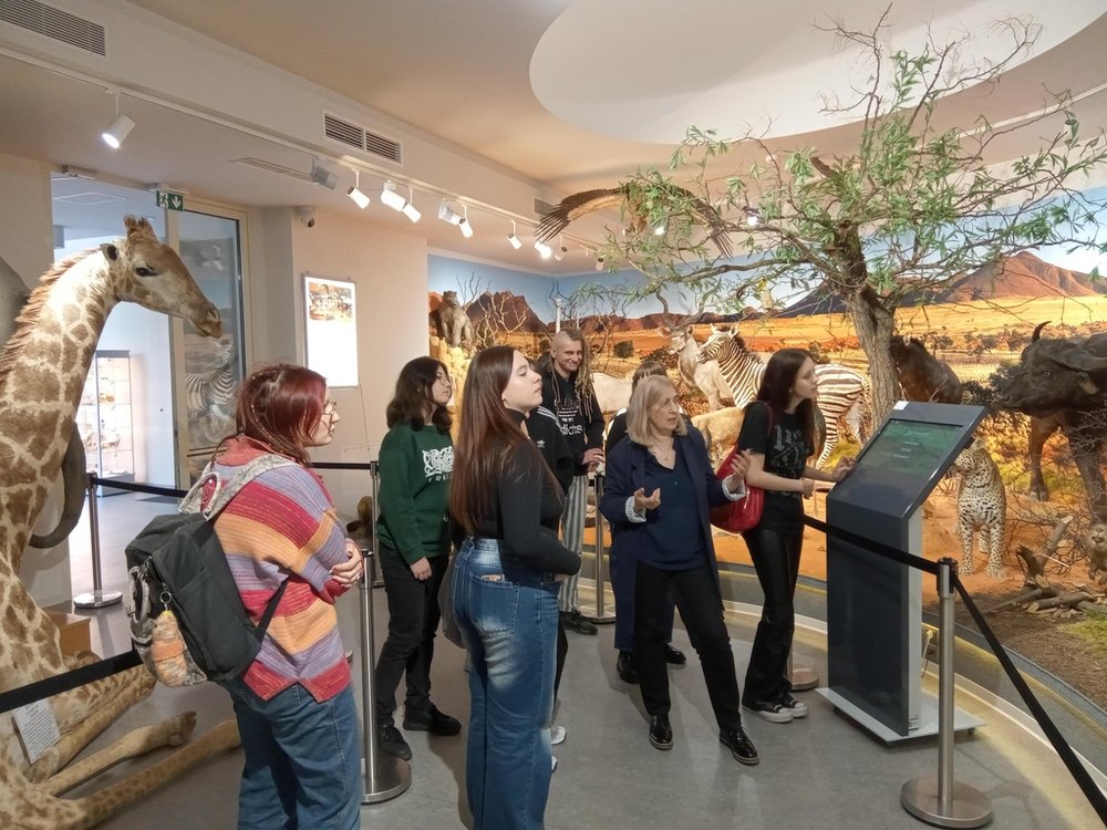 Muzeum Przyrodnicze_6