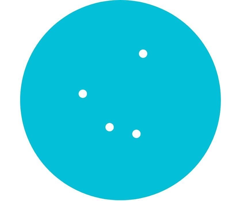 logo https://www.visegradfund.org/