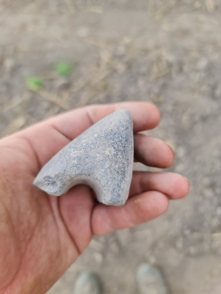 Fragment siekierki neolitycznej