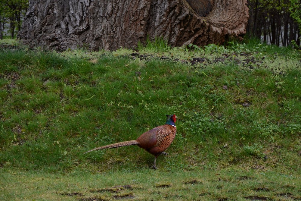 Warsztaty z archeologii współczesności