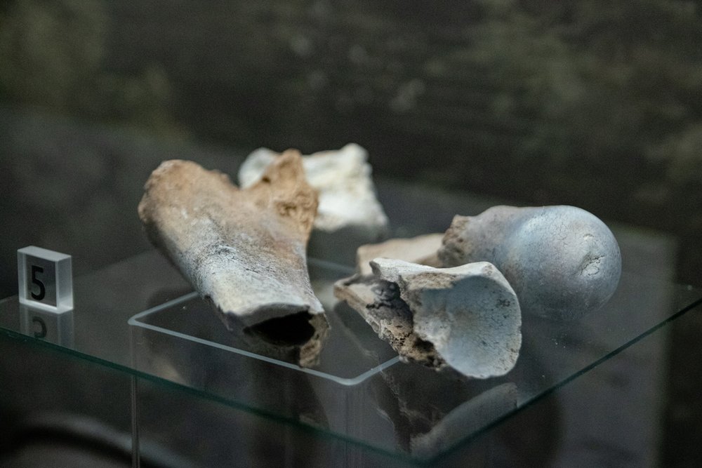 Wyjazd po pograniczach Górnego Śląska